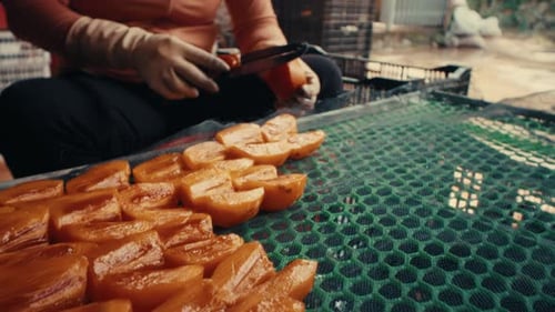 Trabajadores cortando y preparando frutos de caqui para secarlos. Ángulo bajo, empujar hacia adelante