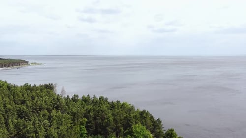 Aerial View of a Beautiful Lake Surrounded By Green Forest and Pine Trees Aerial View of a