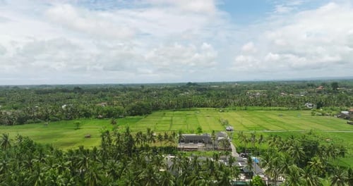 Aerial of green rice fields in Bali, Indonesia