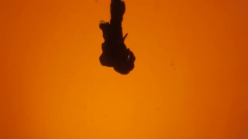 Black Ink Dropping Into Golden Liquid Background