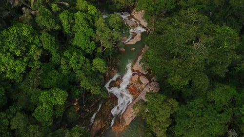 Aerial footage of a waterfall cascading through dense tropical jungle. Lush green rainforest and roc