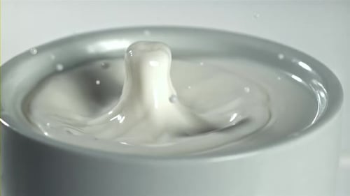 Splashes From a Drop of Milk Filmed on a Highspeed Camera at 1000 Fps
