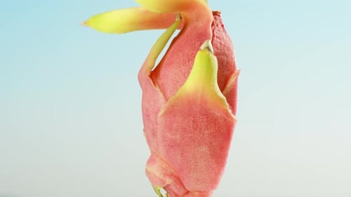 A cut pitahaya with white flesh, a dragon fruit, rotates against a blue sky background.