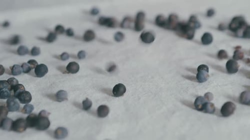 Juniper Berries Scattered on White Tablecloth