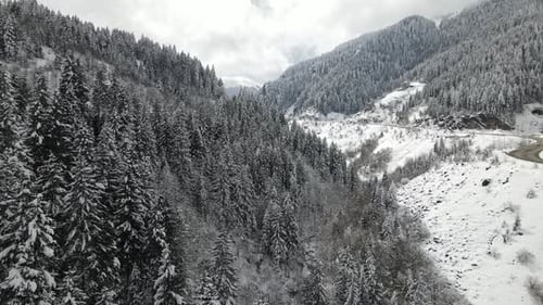 Snow Landscape