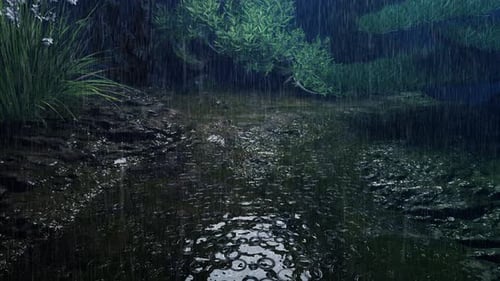 Rain Falls On A Stream Full Of Wet Moss In The Swampy Forest - Video Rainforest Part 2