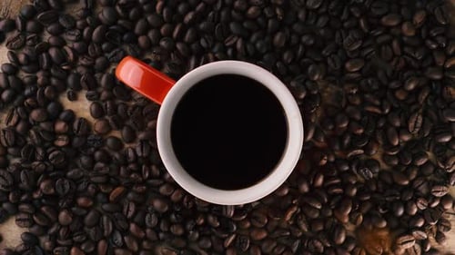 Coffee Cup Surrounded by Fresh Roasted Coffee Beans