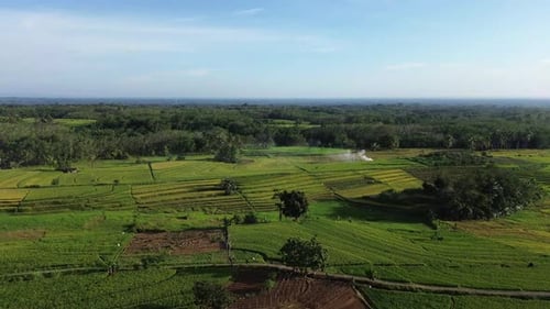 Beautiful morning view indonesia Panorama Landscape paddy fields with beauty color and sky natural