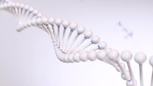 Rotating 3D DNA Double Helix Structure Animation