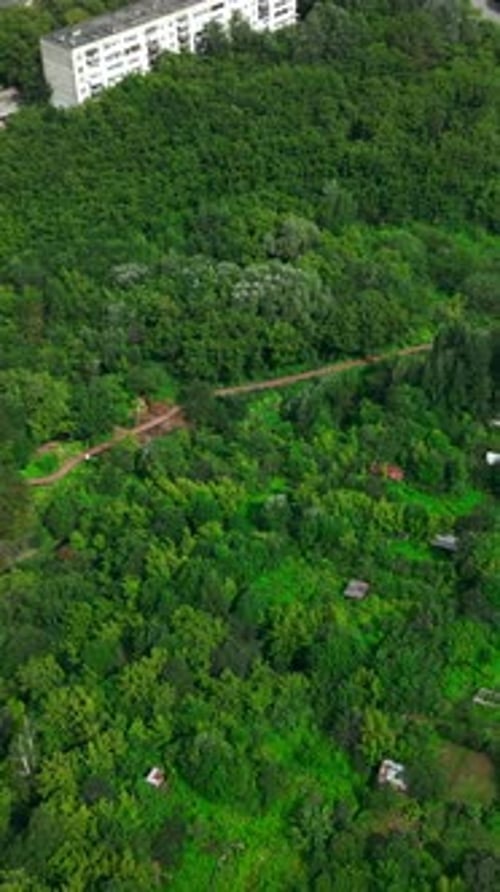 Aerial View of Forest Park and Residential Buildings Clip