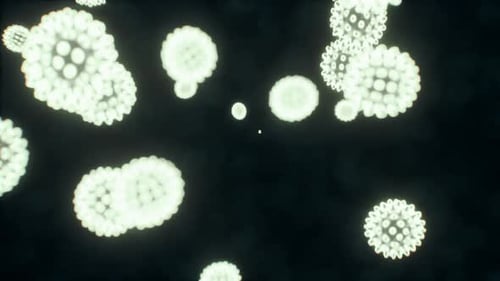 Vírus sob a visão microscópica para a educação