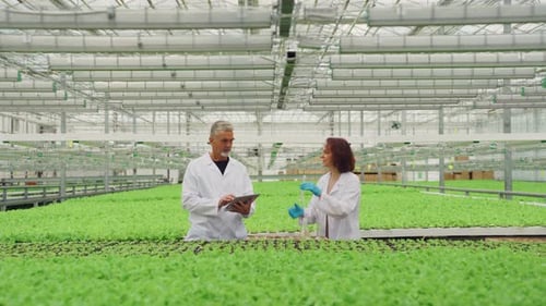 Scientists Monitoring Plant Growth in a Modern Greenhouse