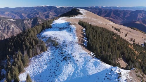 Breathtaking aerial view of snowy mountain landscape with lush green forest