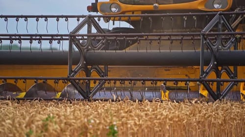 Harvesting farming land in the wheat field. Agricultural combine in the field.