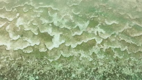 Close in Platform of Coral Reefs Undersea