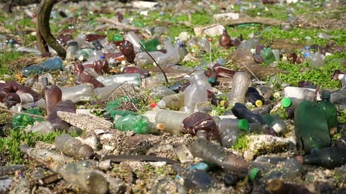 Many Plastic Bottles Lying on Green Lawn at Forest Trash is Dumped in Open and Freely Available