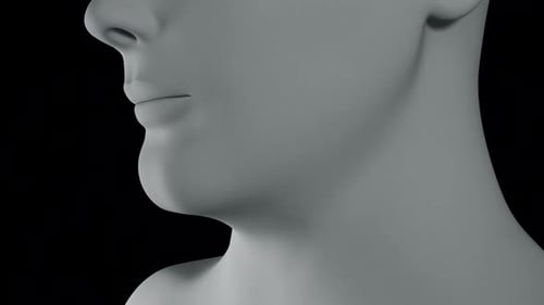 Pill Ingestion and Stomach Highlight Medical Animation