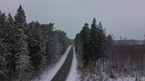 Quiet Snowy Road Peaceful Winter Landscape Featuring Snowcovered Road Surrounded By Tall Pine Trees
