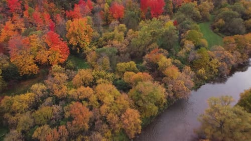 Top down aerial view of woods and trees in a fall, cloudy, moody day. Passing a river before getting