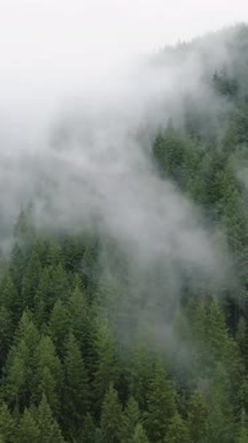 Aerial View of Beautiful Mountain Landscape Fog Rises Over the Mountain Slopes