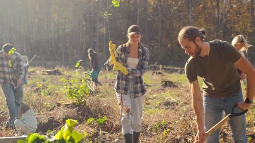 Kaukasische Ökoaktivisten pflanzen Bäume auf einem Waldfeld, um Natur, Frau und Mann zu schützen
