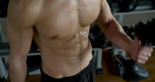 Un chico sin camisa en el gimnasio, entrena su cuerpo para mantenerse en forma y tener músculos definidos. El atleta cria