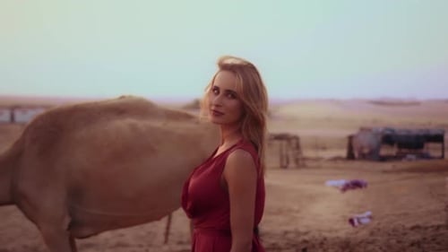 Epic shot for a girl walking towards a camel in the desert, united Arab emirates desert, camels of U