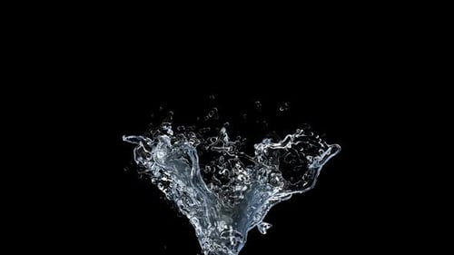 Realistic Water Splash with Transparent Background