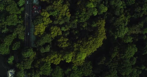 Aerial Top Down View of Central Park Manhattan in New York During