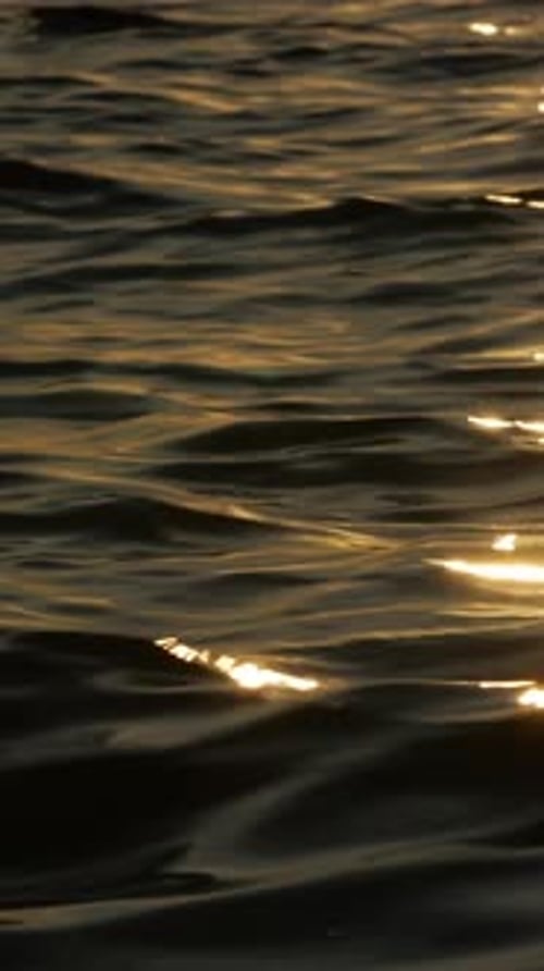 Sunset s Glow Mirrored in the Gentle Waves Below Vertical Video