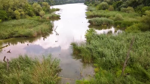 Aerial View of Tranquil River through Green Wetlands