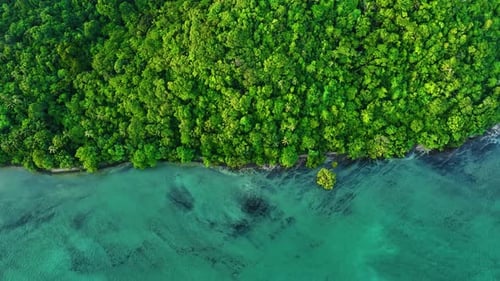 Aerial view of tropical reef and forest by turquoise ocean, Thailand.