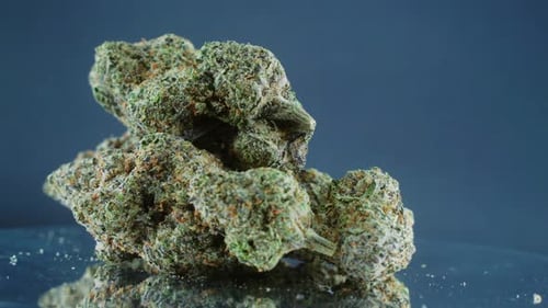 Grayish Green Dried Marijuana Buds - Close Up concept Shot, pile of dried marijuana plants, orange t