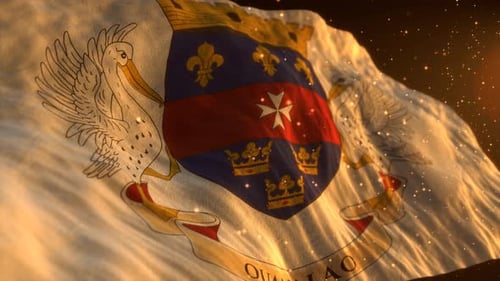 Realistic Waving Flag with Coat of Arms Golden Particles