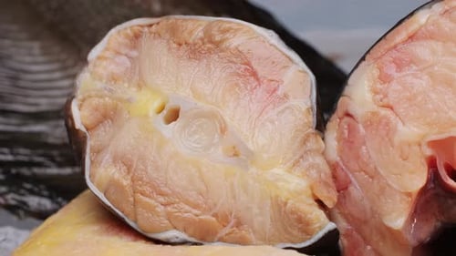 Frisches Störfischfilet auf dem Schreibtisch, Nahaufnahme, gebratenes, gesundes Essen, Konzept, Koch bereitet sich auf das Kochen vor