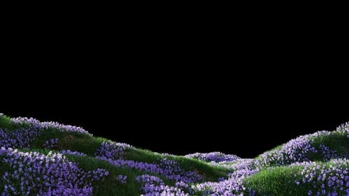 Wiesengrünes Gras Alpha 02 HD