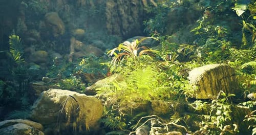 Lush Forest Floor with Diverse Plants and Sunlight Filtering Through