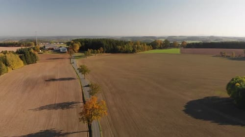 Beautiful sunset over countryside trees and farmland fields, aerial view