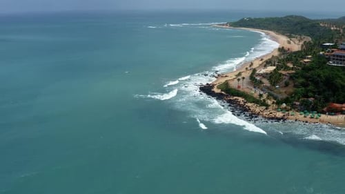 Tilt down bird's eye aerial drone shot of a group of surfers waiting for a wave on their boards in t