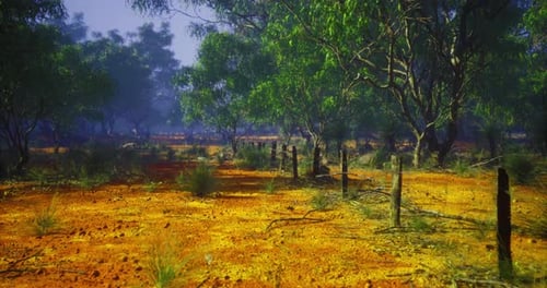 Vibrant Landscape Showcasing Unique Ecosystem in a Sunlit Forest Setting
