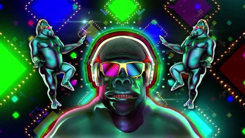 Disco Gorillas