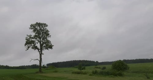 Evening storm rain cloud timelapse