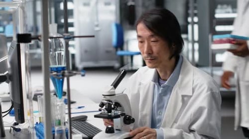 Scientist Using Microscope and Computer in Laboratory