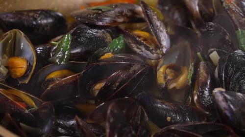 Fresh Seafood Black Mussels opening up during Cooking in Sauce, Close Up Cooking Fresh
