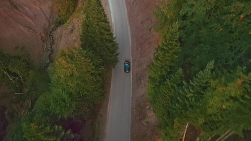 Aerial View on Car Driving Through Autumn