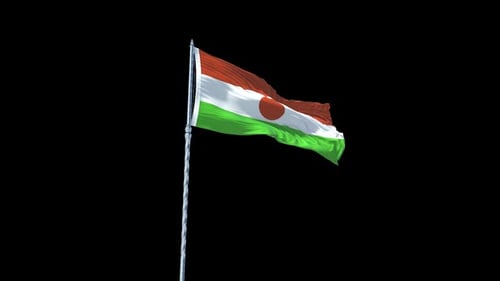 Niger Flag Waving on a Black Background