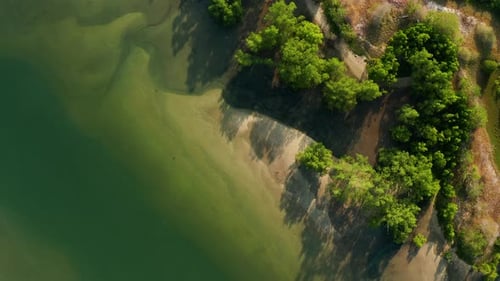 Top aerial view of Tanjung Rhu Mangrove, Langkawi