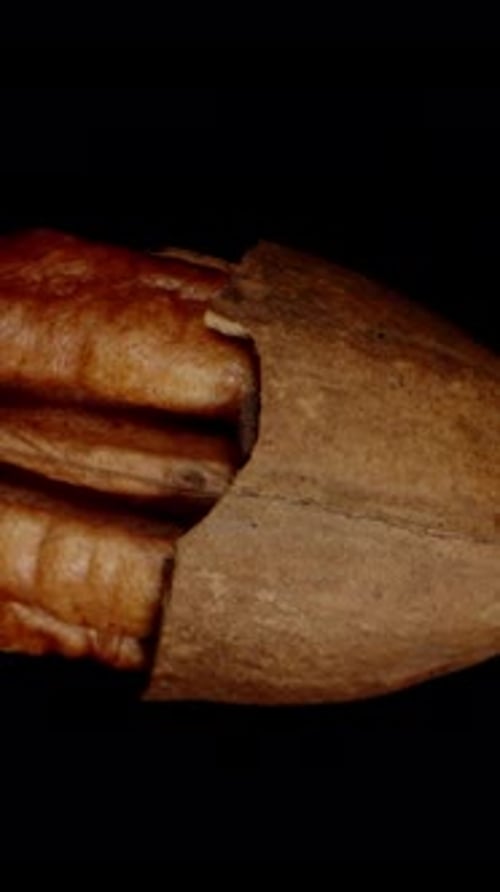 Vertical video. Slow-Motion Fall of a Cracked Pecan as it is Caught by a Hand, Top View on a Black
