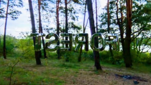 Chrome inscription forest green 3d render. Environmental conservation concept, nature protection
