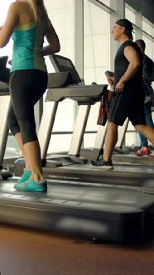 Vertical of Low Angle View of Athletes Walking on Treadmills Indoor of Modern Gym